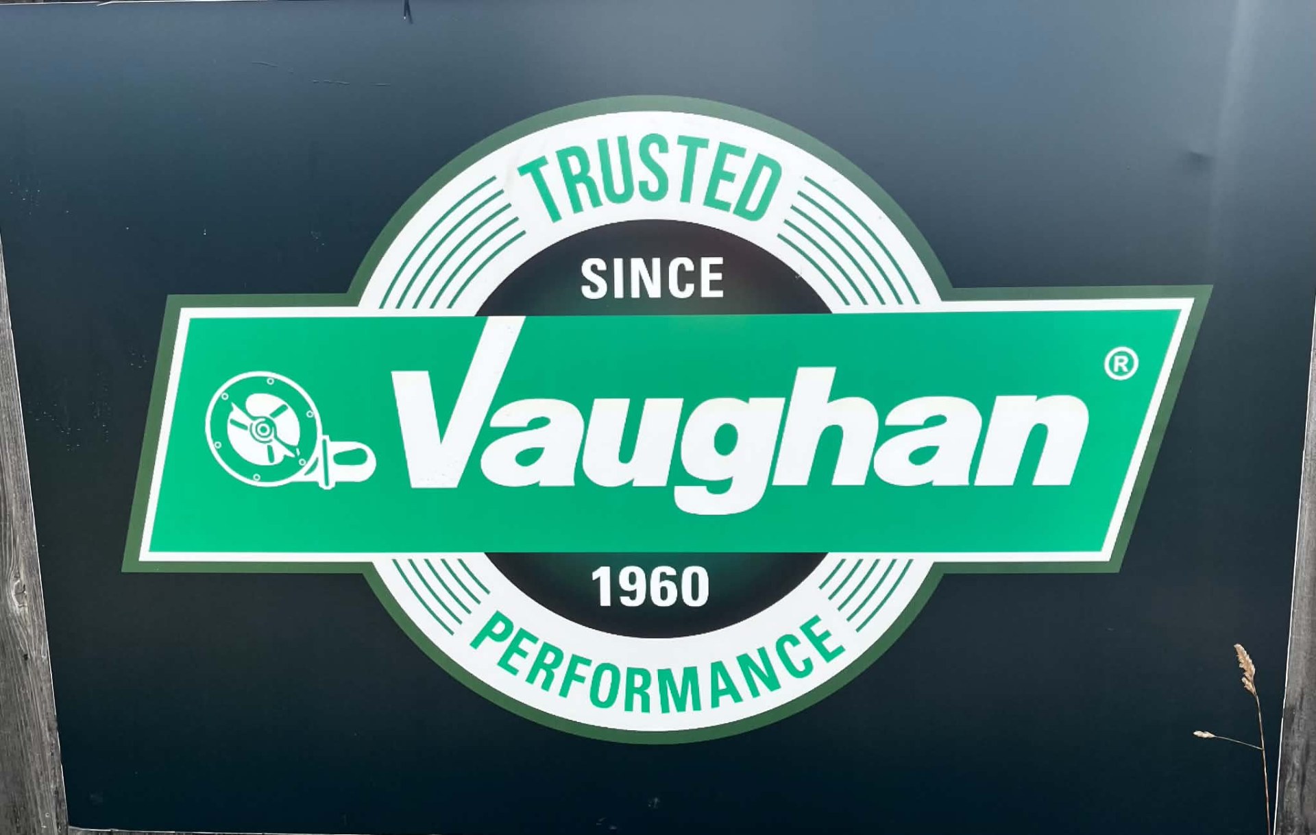 Vaughan